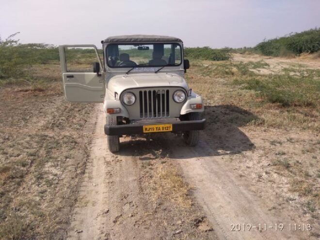 Rajasthan Bishnoi Village Safari With Authentic Food - Village Visits