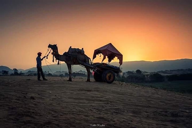 Rajasthan Heritage Tour - Included Amenities