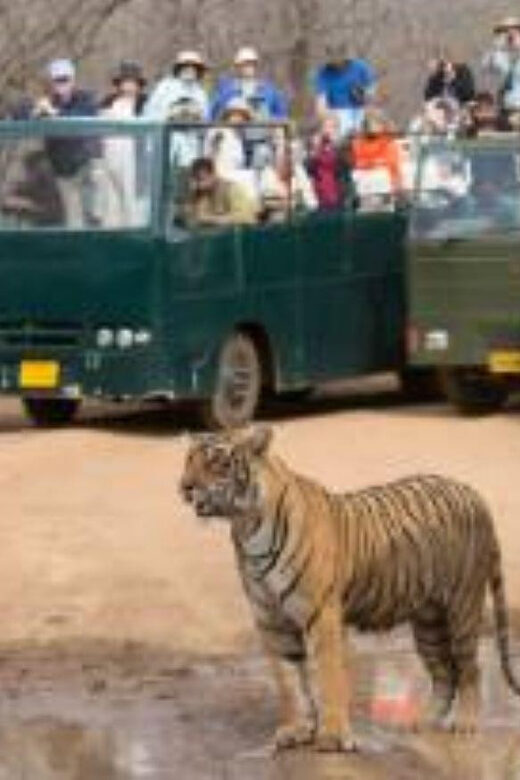 Rajasthan: Ranthambore National Park Safari - Final words