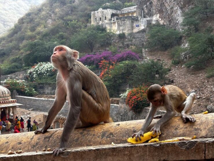 Rajasthan Tour With Agra by Private Car 15 Nights 16 Days - Tour Highlights and Iconic Sites