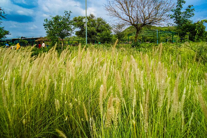 Rajasthani Village Private Day Tour From Jaipur - Tour Overview and Activities