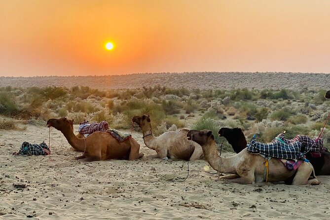 Rajs Overnight Non-Touristic Camel Safaris Jaisalmer - Safari Options and Packages