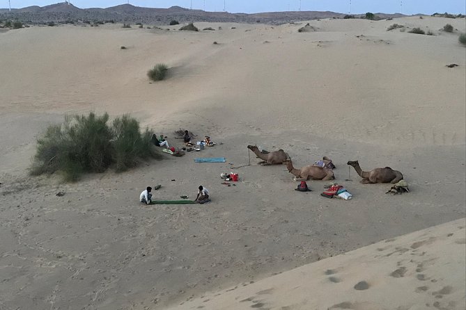 Rajs Overnight Non-Touristic Camel Safaris Jaisalmer - Booking Process and Pricing Details