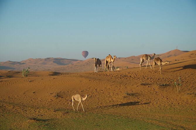 RAK Hot Air Balloon Flight - Participation and Group Size