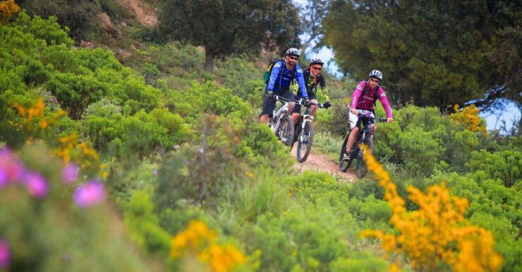 Ramatuelle: Tracks & Tasting Winery Tour by Mountain E-Bike - Tour Duration and Cancellation Policy