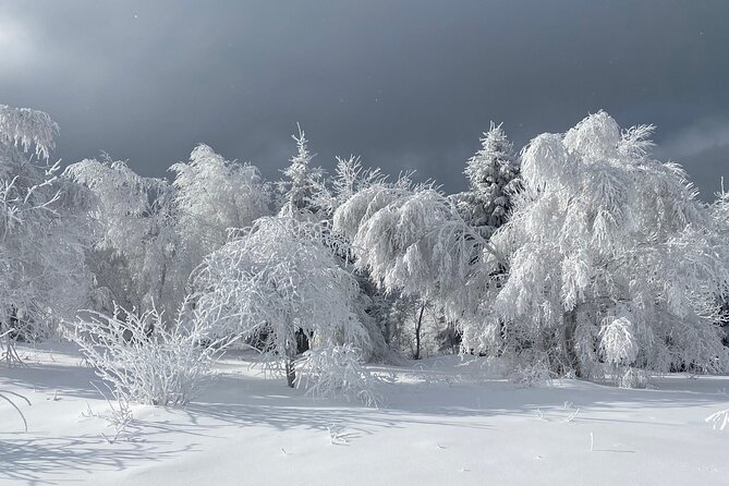 Rambling in Transylvania - Scattered Villages and Astonishing Views