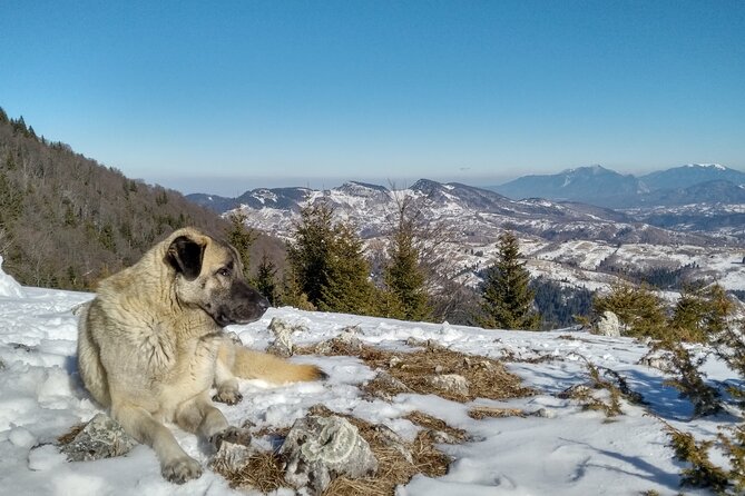 Rambling in Transylvania - Inclusions and Meeting Details