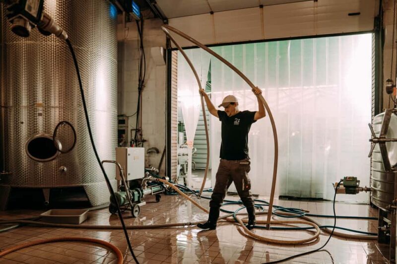 Ramsthal: Winery Tour with Wine Tasting and Tapas - Ramsthal: Winery Tour with Wine Tasting and Tapas