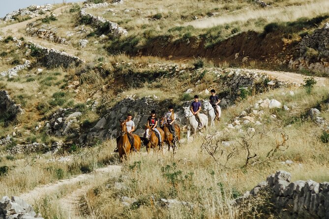Ranch 22 Podstrana, Horse Riding 12 Km From SPLIT - Reviews and Inclusions