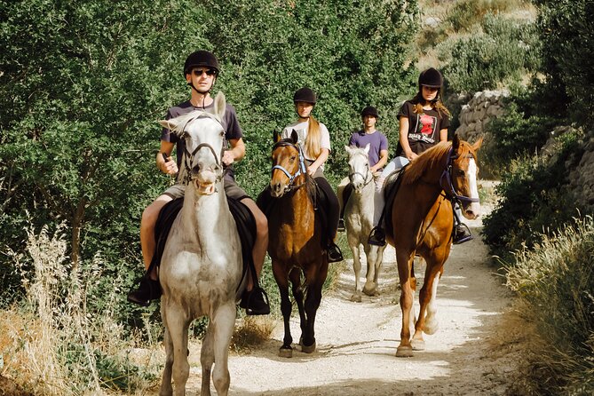 Ranch 22 Podstrana, Horse Riding 12 Km From SPLIT - Customer Ratings and Reviews