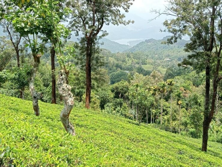 Rangala: Hiking, Camping, and Waterfall Adventure - Itinerary and Experience