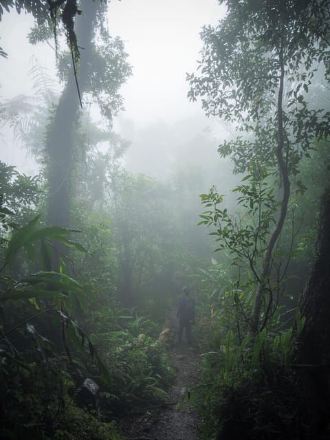 Rangala: Hiking, Camping, and Waterfall Adventure - Highlights and Natural Features