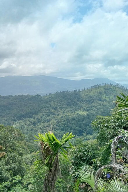 Rangala: Hiking, Camping, and Waterfall Adventure - Important Information and Tips