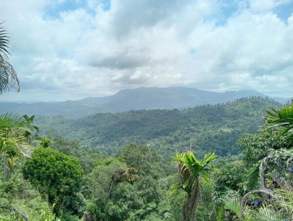 Rangala: Hiking, Camping, and Waterfall Adventure - Frequently Asked Questions