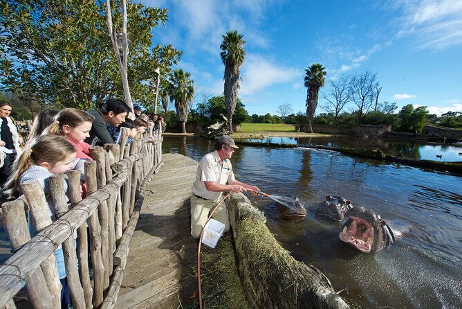 Ranger Mystery Tour at Werribee Open Range Zoo - Inclusions and Benefits