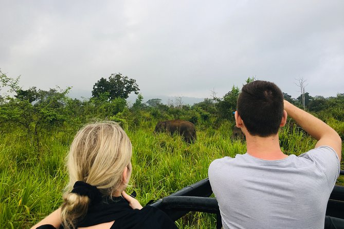 Rangiri Jeep Safari Half Day Jeep Safari - Expert Guides