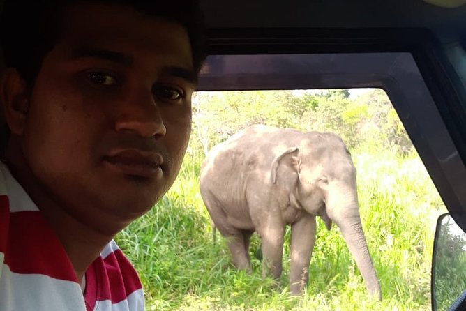 Rangiri Jeep Safari Sigiriya Lion Rock & Evening Jeep Safari - The Sum Up