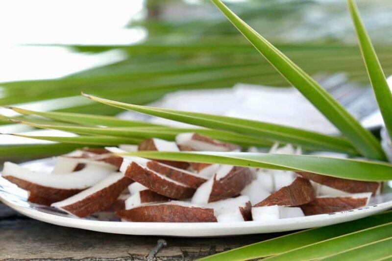 Rangiroa: Blue Lagoon Tiputa Pass Coral Garden Island Birds - Final Thoughts: Is It Worth It?