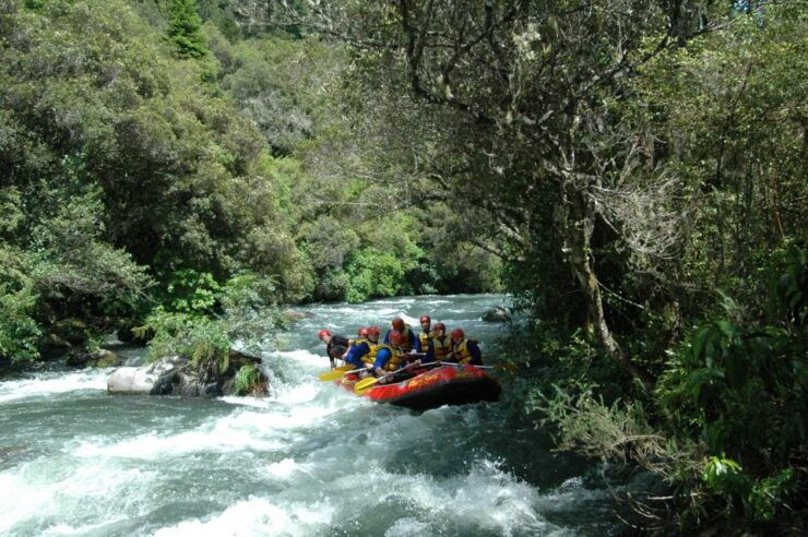 Rangitaiki Rafting Grade 3-4 - Activity Overview