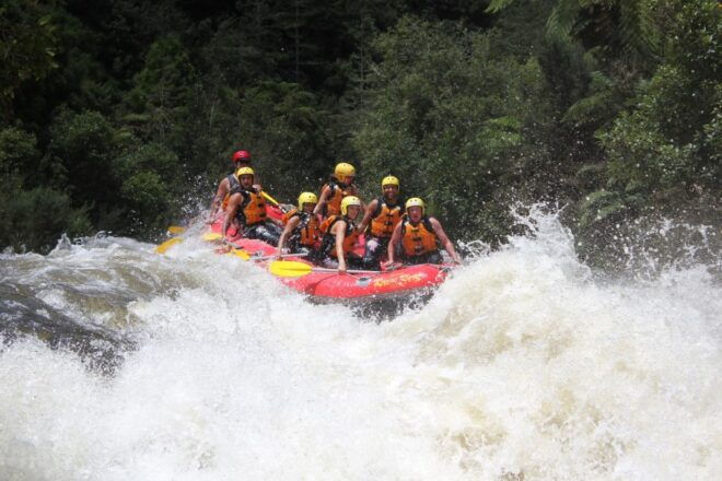 Rangitaiki Rafting Grade 3-4 - Experience Highlights