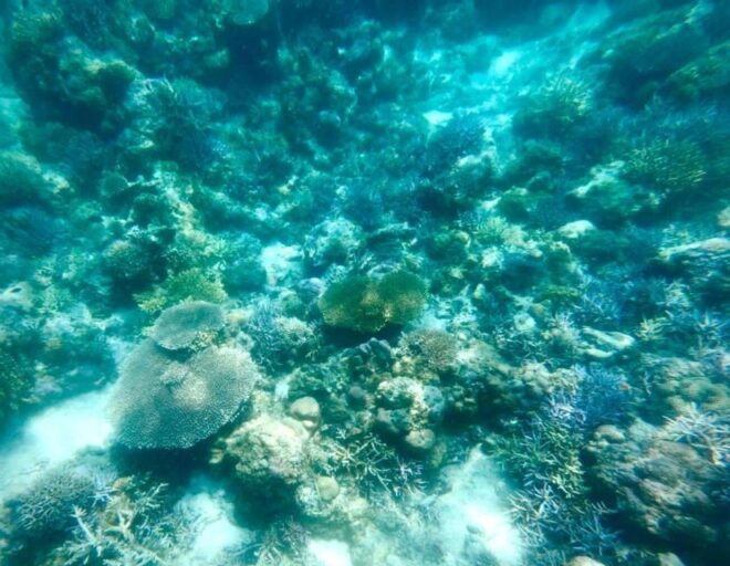 Rangko Cave and Beach Snorkeling Half Day Sharing Trip - Customer Reviews and Ratings