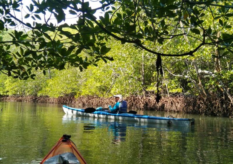Rangko Kayaking Adventure - Introducing the Experience