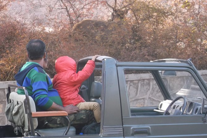 Ranthambhore National Park - Inclusions and Tips