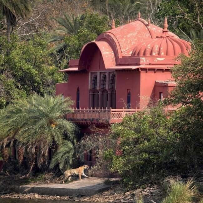 Ranthambhore: Ranthambhore Tiger Reserve Booking - Good To Know