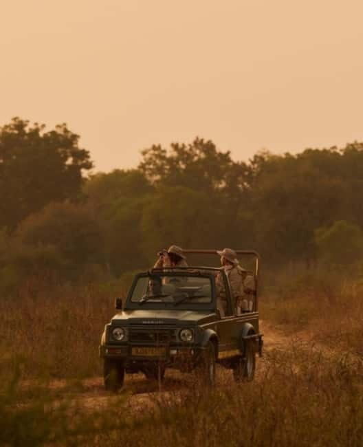 Ranthambhore: Ranthambhore Tiger Reserve Booking - Authentic Experiences and What Travelers Say