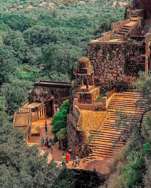 Ranthambore Fort and Ganesh Temple tour in a Jeep - Who Is This Tour Best For?