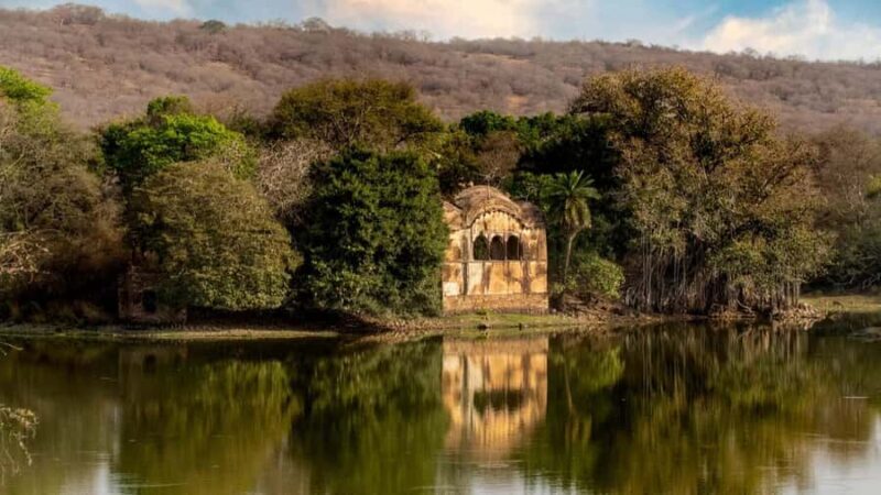 Ranthambore: Jeep Safari - Tiger Reserve & Wildlife Sights - FAQs