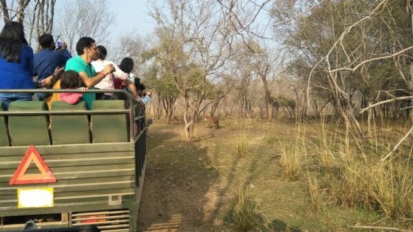 Ranthambore National Park - Professional and Well-Mannered Tour Guides
