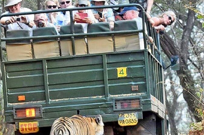 Ranthambore National Park 20 Seater Canter Safari Booking - An In-Depth Look at the Safari Experience