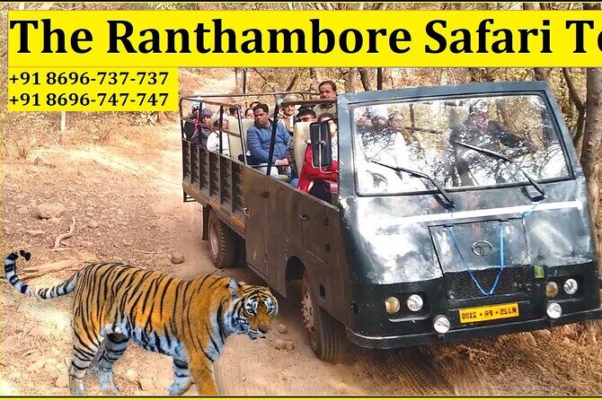 Ranthambore National Park 20 Seater Canter Safari Booking - Good To Know