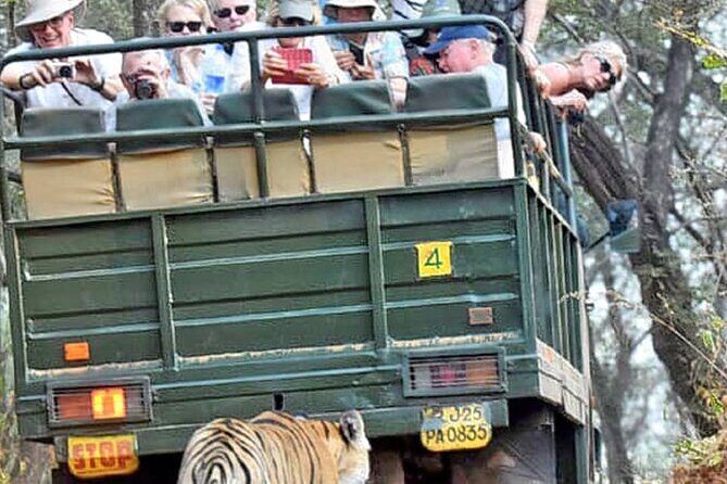 Ranthambore National Park 20 Seater Canter Safari Booking - An In-Depth Look at the Safari Experience