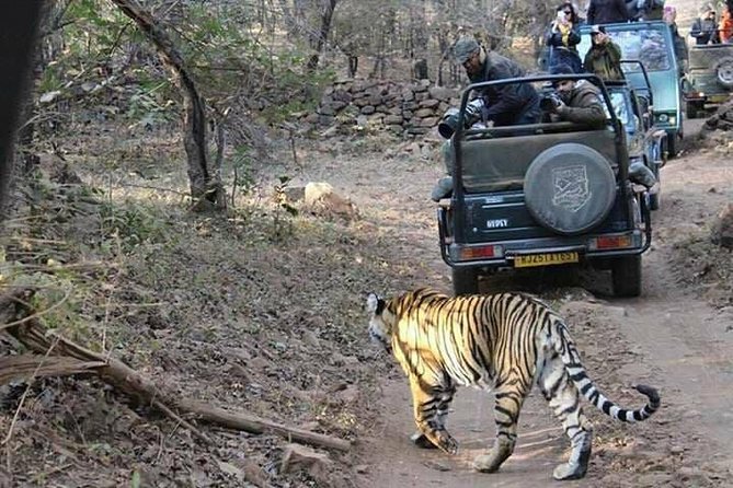RANTHAMBORE NATIONAL PARK (3 Nights /4 Days) - Inclusions and Exclusions
