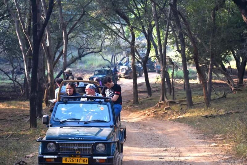 Ranthambore National Park: Canter Safari Ticket with Pickup - What Makes This Tour Stand Out?
