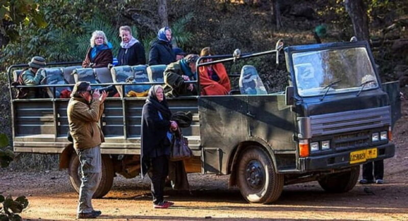 Ranthambore National Park: Jeep or Canter Safari - What the Safari Experience Looks Like