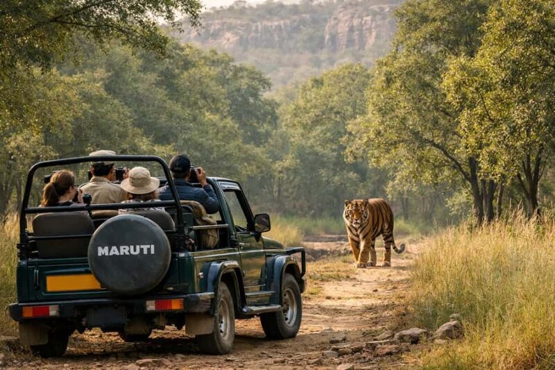 Ranthambore National Park Premium Jeep Safari with Guide - In-Depth Look at the Itinerary
