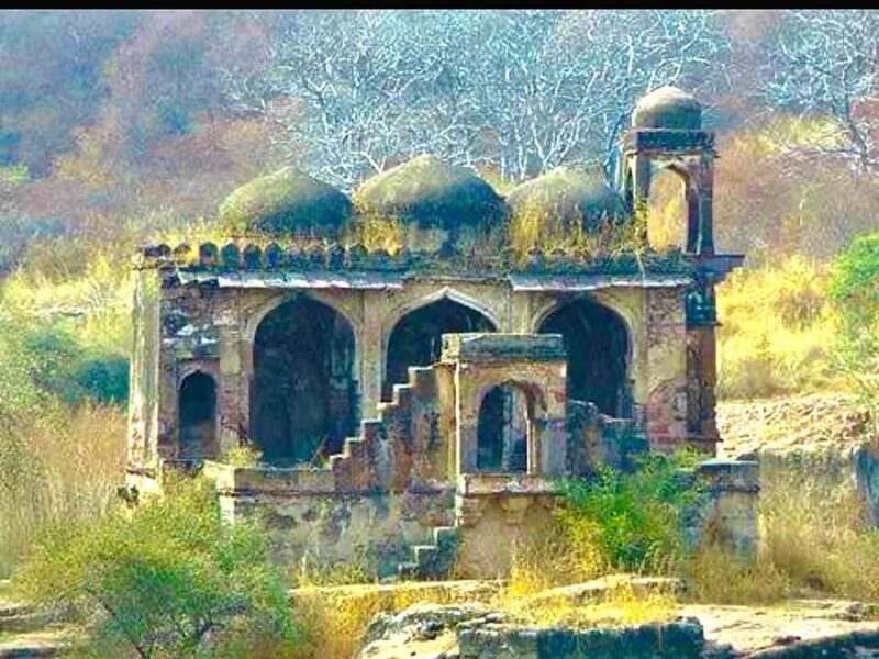 Ranthambore National Park Premium Jeep Safari with Guide - Price and Value