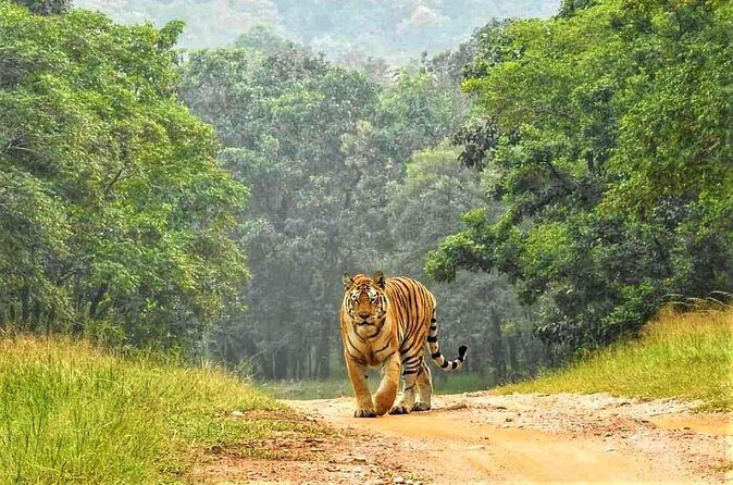 Ranthambore Official Guided Tiger Safari in Sharing Canter - Transport and Logistics