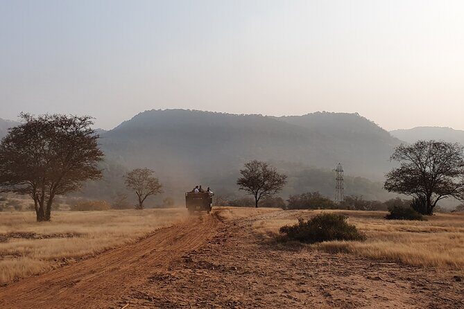 Ranthambore Official Guided Tiger Safari in Sharing Canter - Good To Know