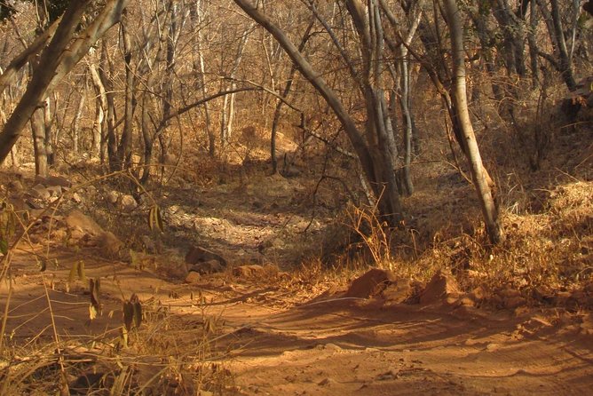 Ranthambore Same Day Experience - Contact Information