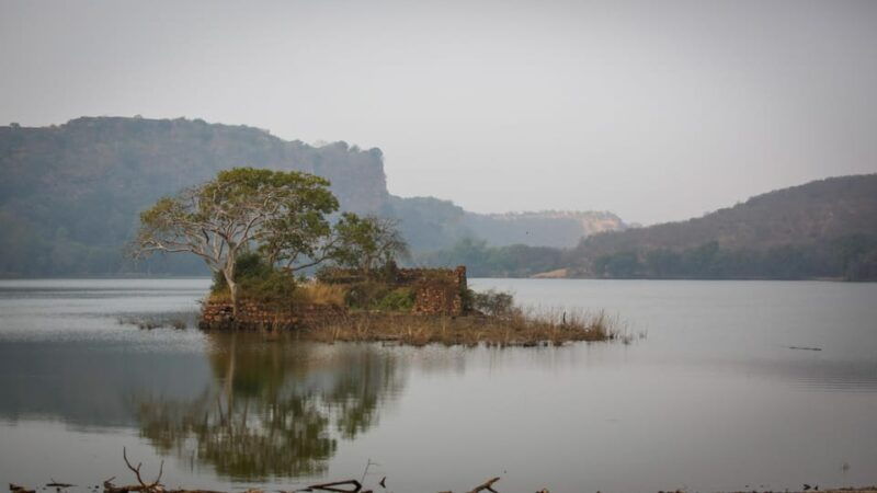 Ranthambore: Shared Tiger Safari in Canter or Gypsy - What’s Included and What’s Not