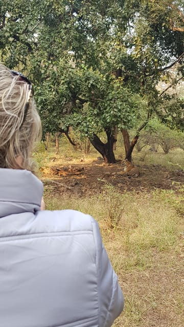 Ranthambore: Shared Tiger Safari in Canter or Gypsy - The Sum Up