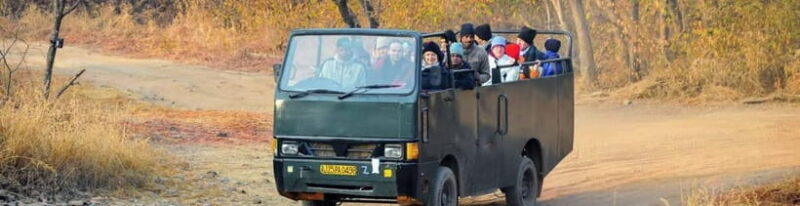 Ranthambore: Skip-the-Line Tiger Safari in Sharing Canter - FAQ
