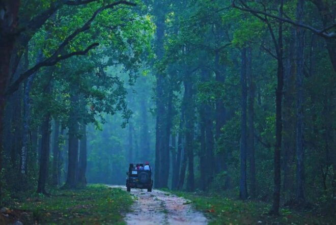 Ranthambore: Skip-the-Line Tiger Safari in Sharing Canter - Visit Information