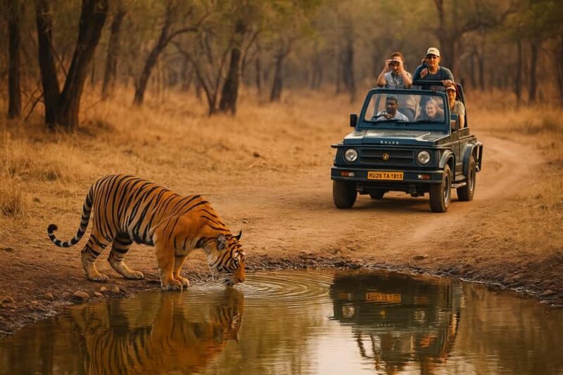 Ranthambore Tiger Safari in Open canter with Wildlife Guide - Who Will Love This Tour?