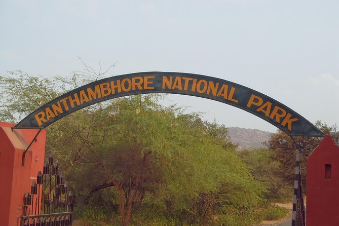 Ranthambore to Jaipur One Way Drop Service - Good To Know