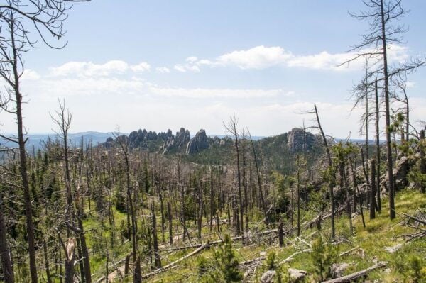 Rapid City: Private Black Hills Monuments Full-Day Tour - Common Questions